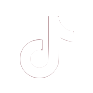 tiktok icon